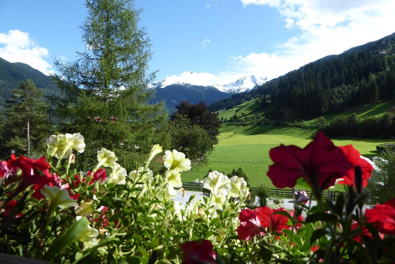 Zittrauerhof - Urlaub Am Bauernhof Gastein Villa Bad Hofgastein Exterior foto